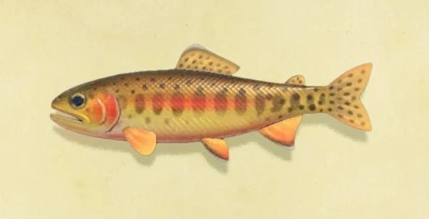 Golden Trout Animal Crossing New Horizons