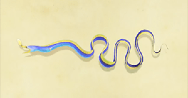 Ribbon eel Animal Crossing New Horizons