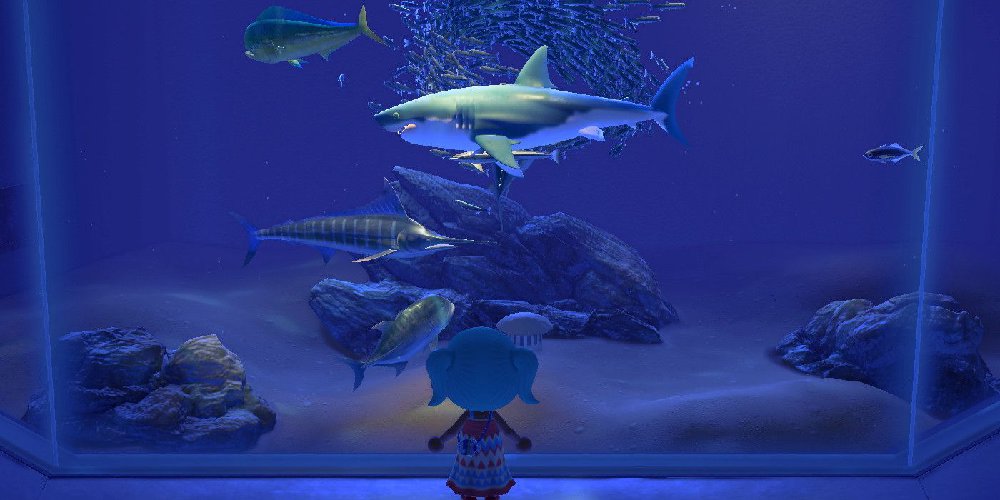 How to Catch a Shark in Animal Crossing: New Horizons - Prima Games