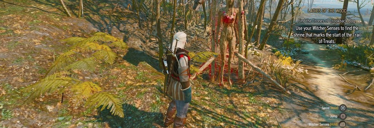 Witcher 3 ladies in the wood